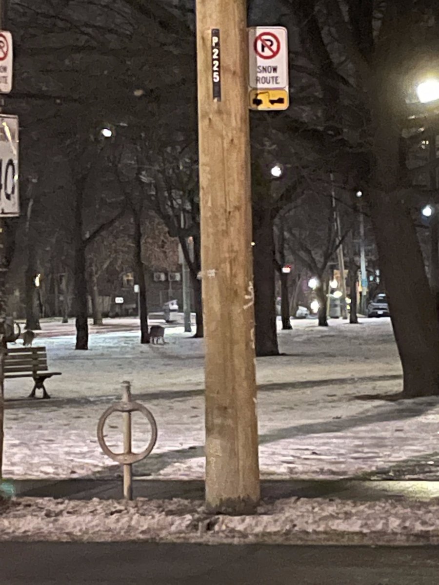 Oleander Garden tweet media