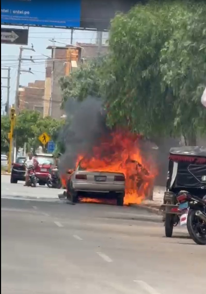 Locochon tweet media