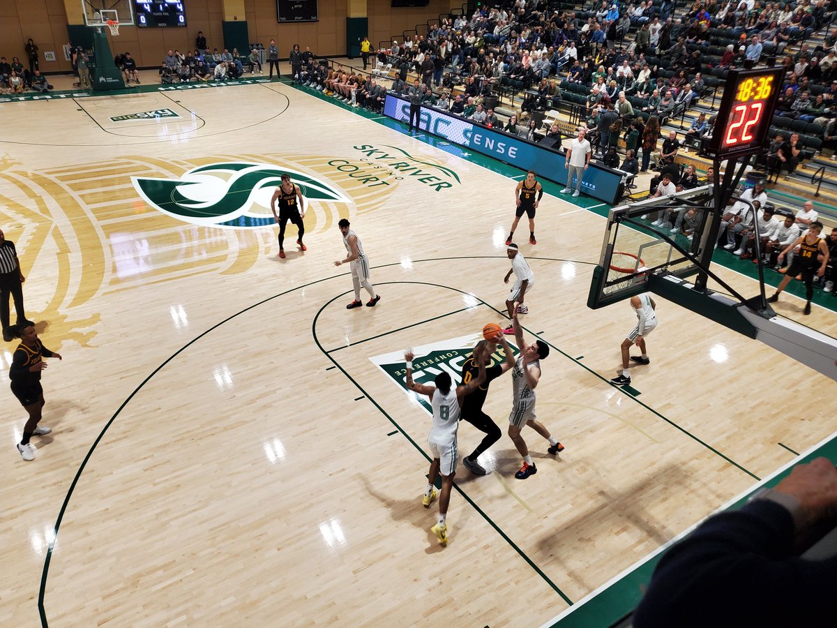 Tim Shestek tweet media