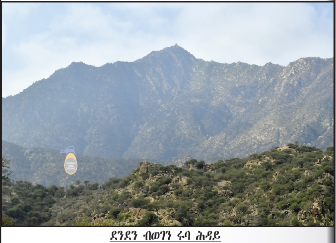 Ministry of Information, Eritrea tweet media