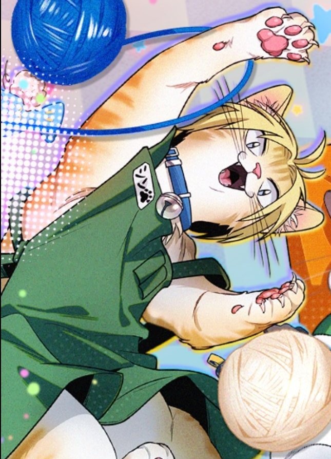 Hourly Shin tweet media