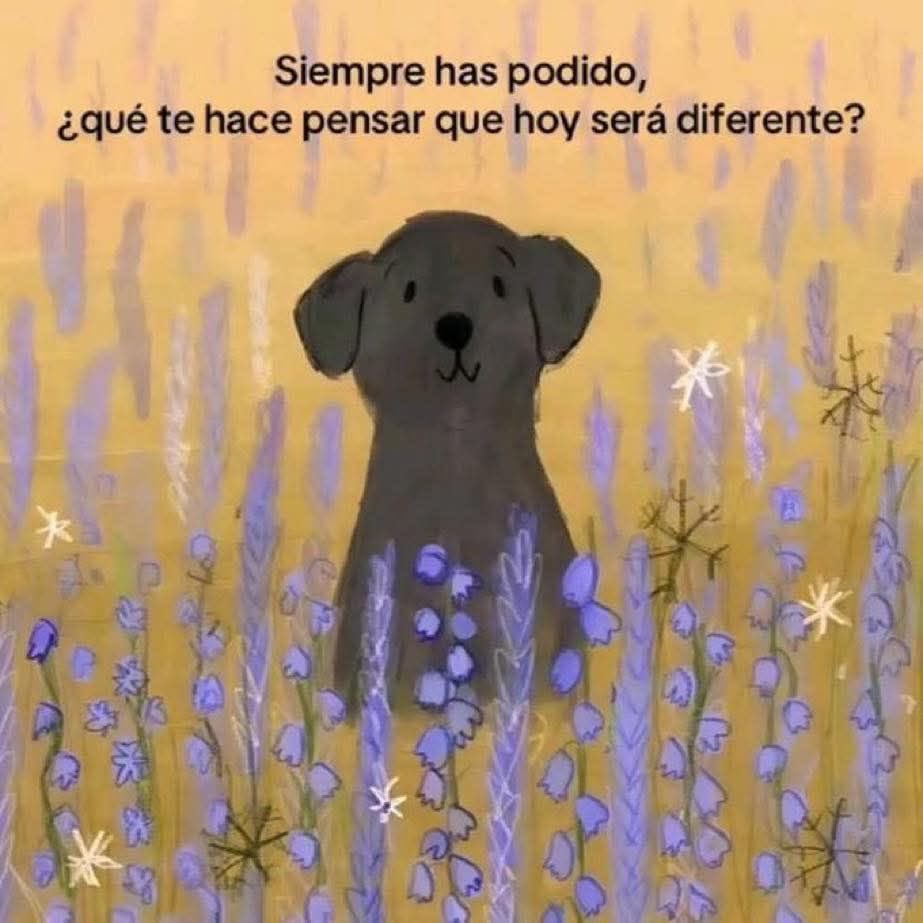 Dilo con dibujos tweet media