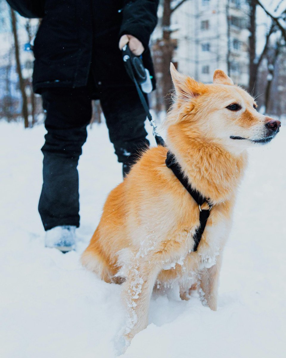 AcreValue® tweet media