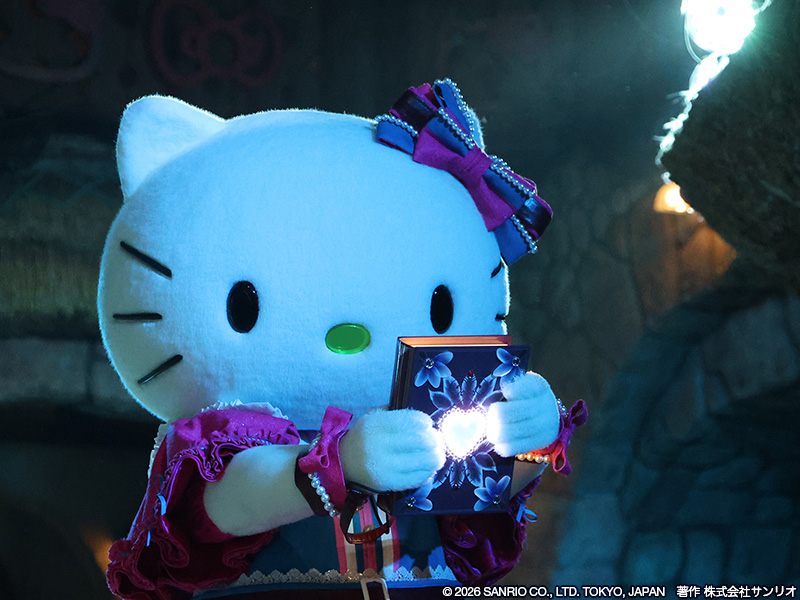 みみきてぃ (@mimi33kitty) / Posts / X