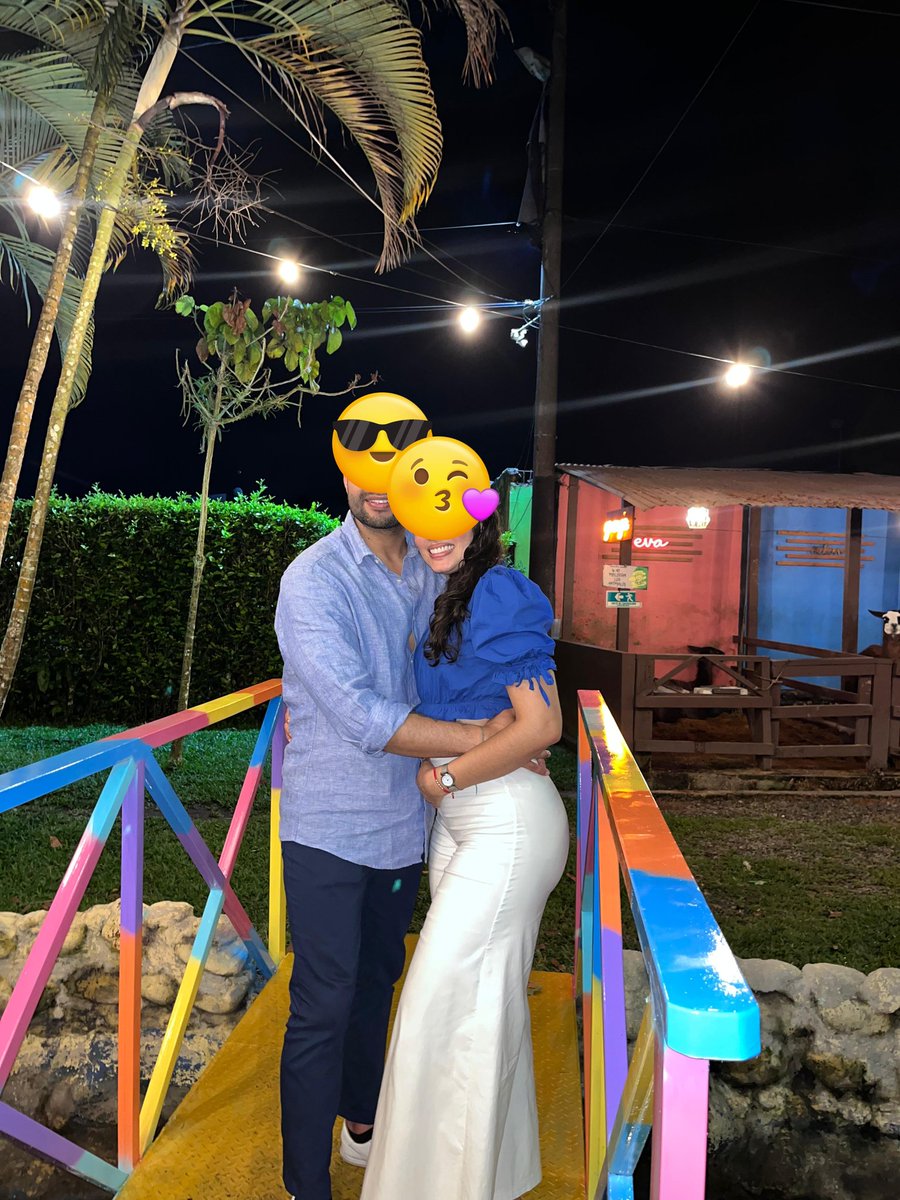 Die Katzen tweet media