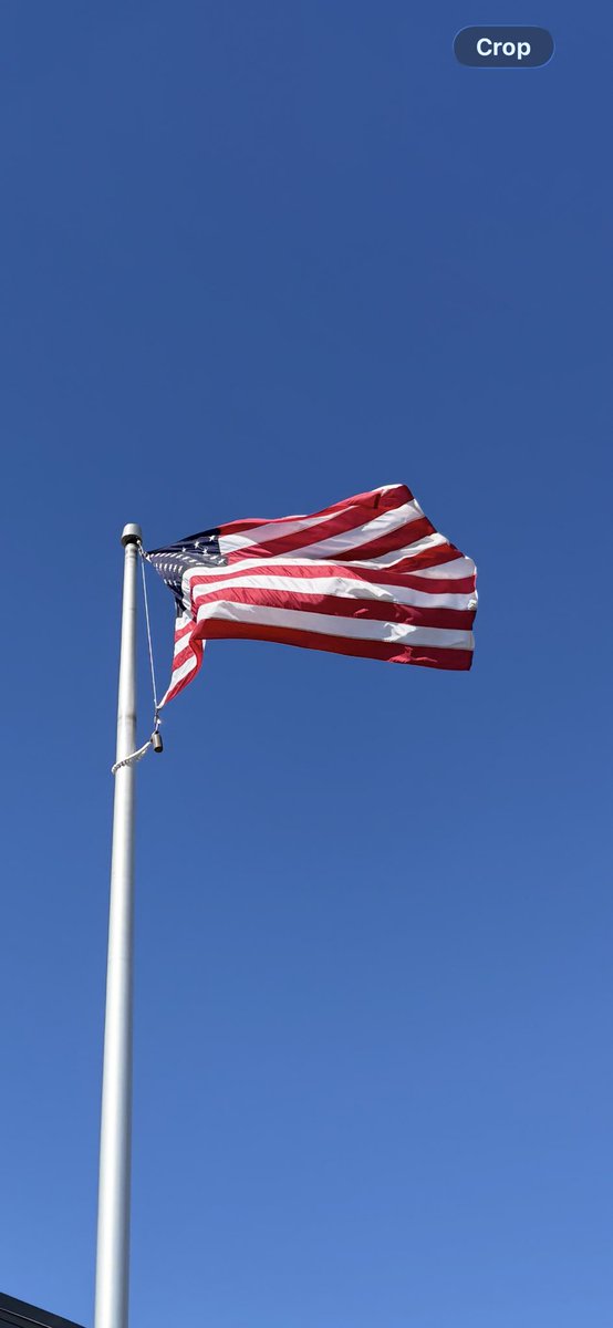 Mike Lickert tweet media