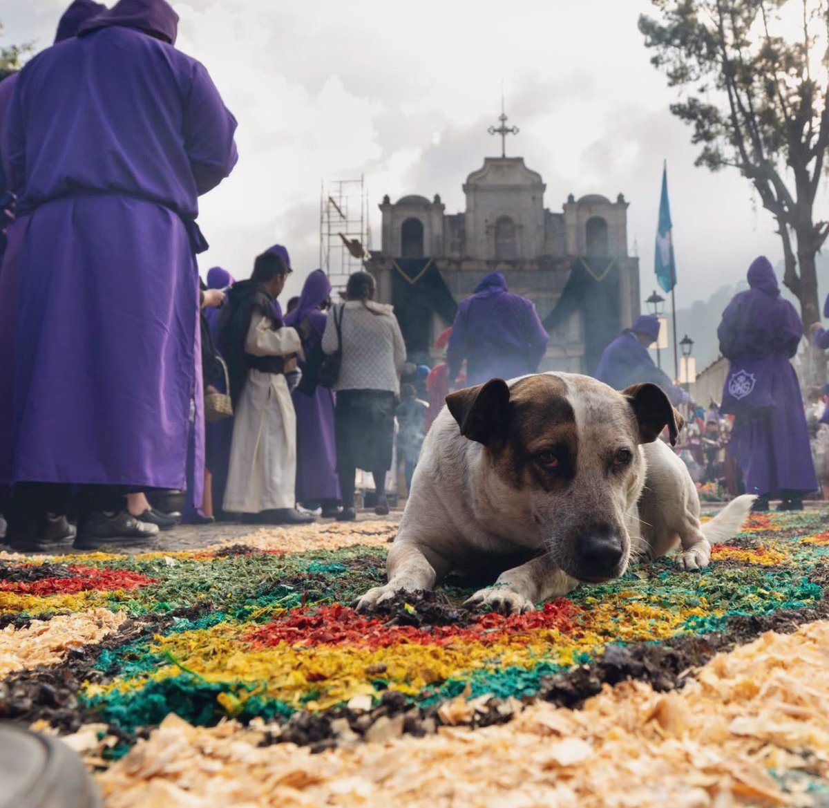 Para los lomitos también empezó ya la Cuaresma.
