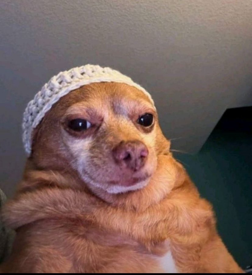 ...𝖉𝖊𝖊𝖉𝖆𝖙 tweet media