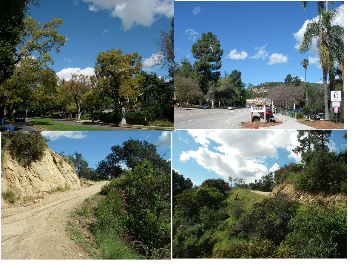 Em Fripp (Paget's Painter Pest) tweet media