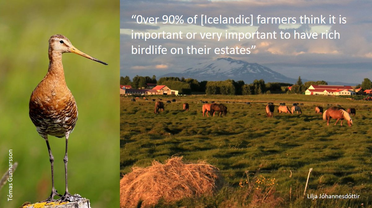 Graham Appleton tweet media