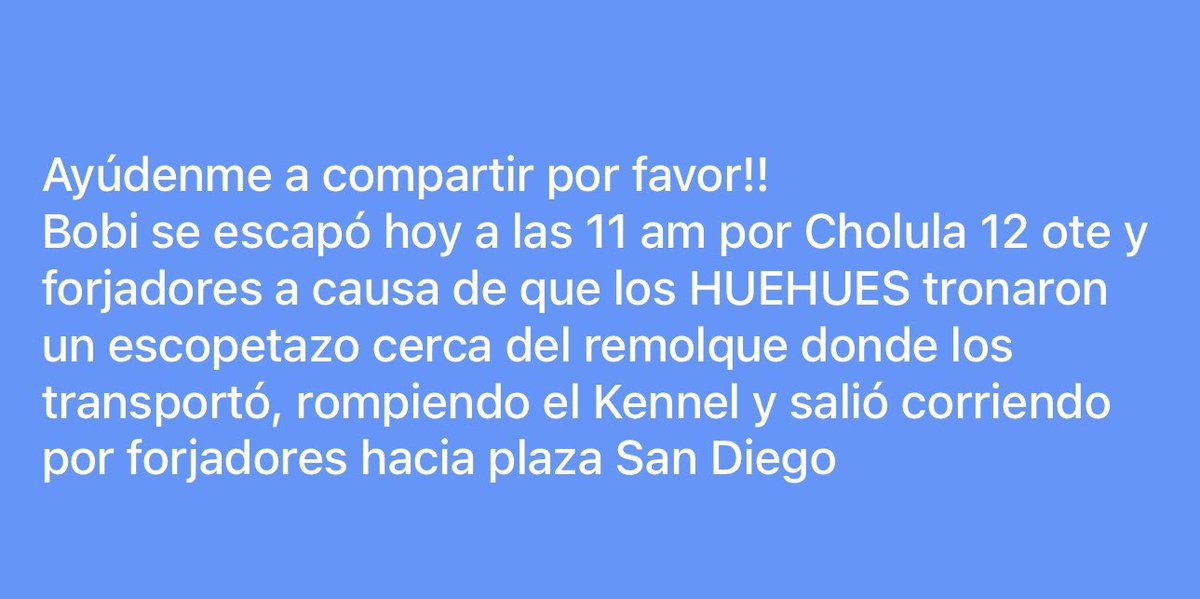 RT Infinito #Forjadores #Cholula #Puebla <a href="/FUNDAPEPUEBLA/">Fundacion Patitas Enlodadas AC😺🐶</a> <a href="/sandra_ov/">ᔕᗩᑎᗪᖇᗩ</a> <a href="/alvarez_armando/">Armando Alvarez</a> <a href="/Hechizero_38/">★·.·´HeChIzErO`·.·★</a> <a href="/MonseNavedo/">Monse Navedo</a> <a href="/GobiernoCholula/">Gobierno de Cholula</a> 
Cualquier informe al: 5541280616