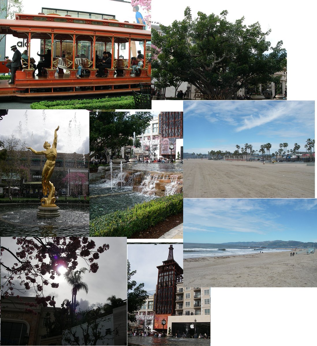 Em Fripp (Paget's Painter Pest) tweet media