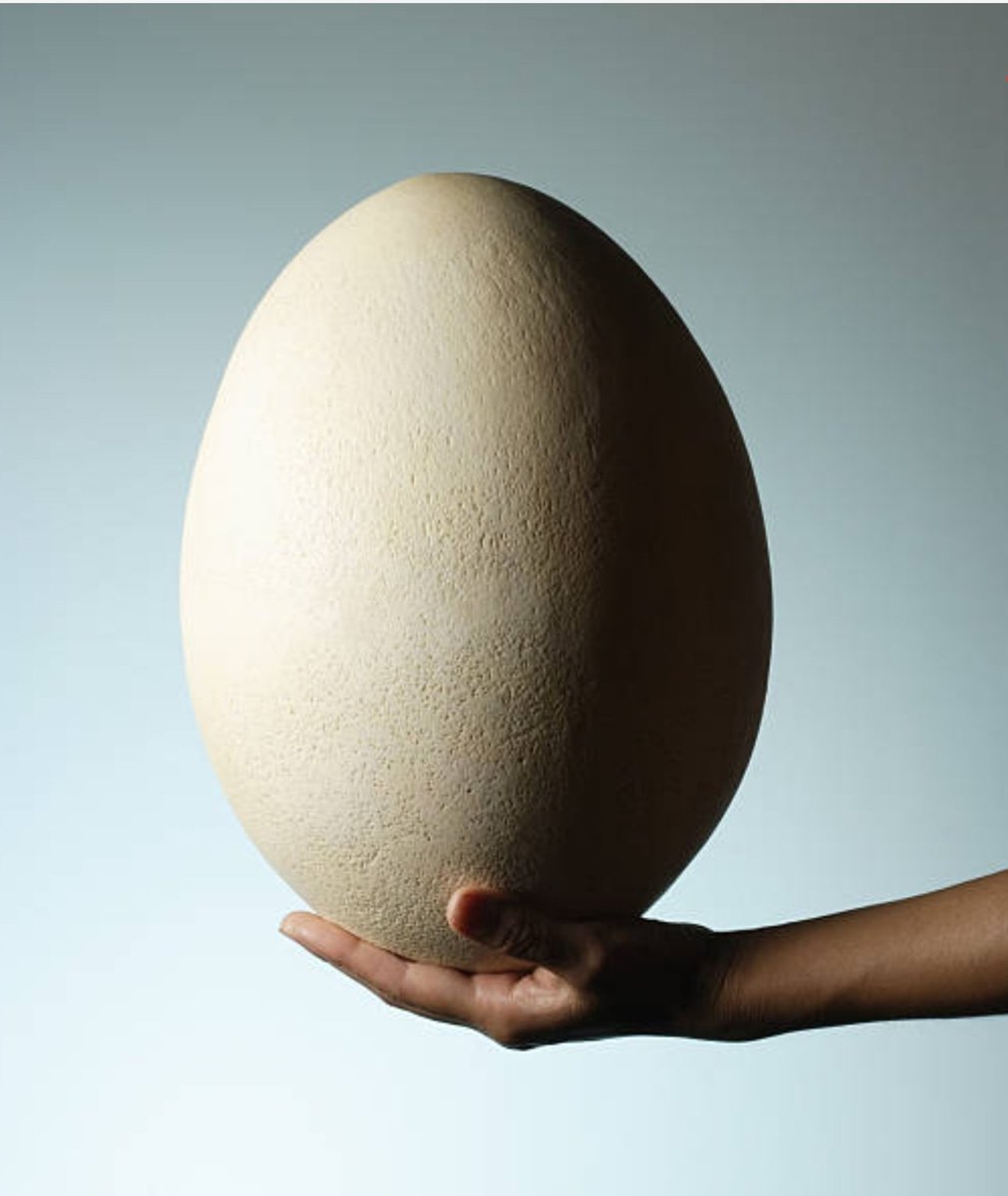 محمد طاهرین🇮🇷 tweet media