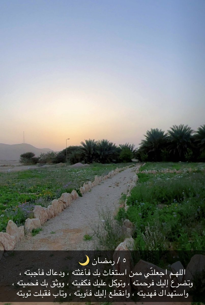 سعد بن سلطان بن ذيب tweet media