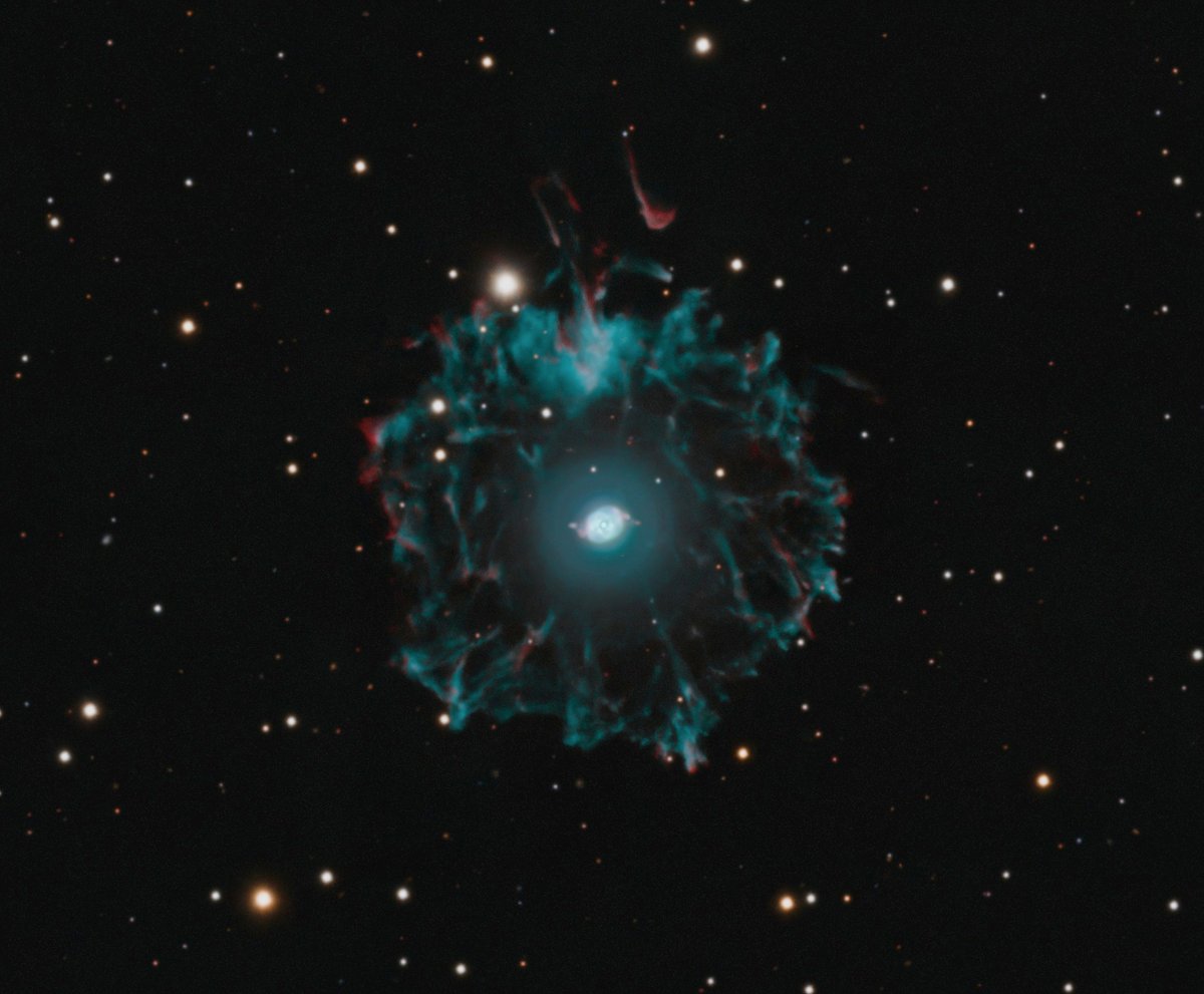 Insight Observatory tweet media