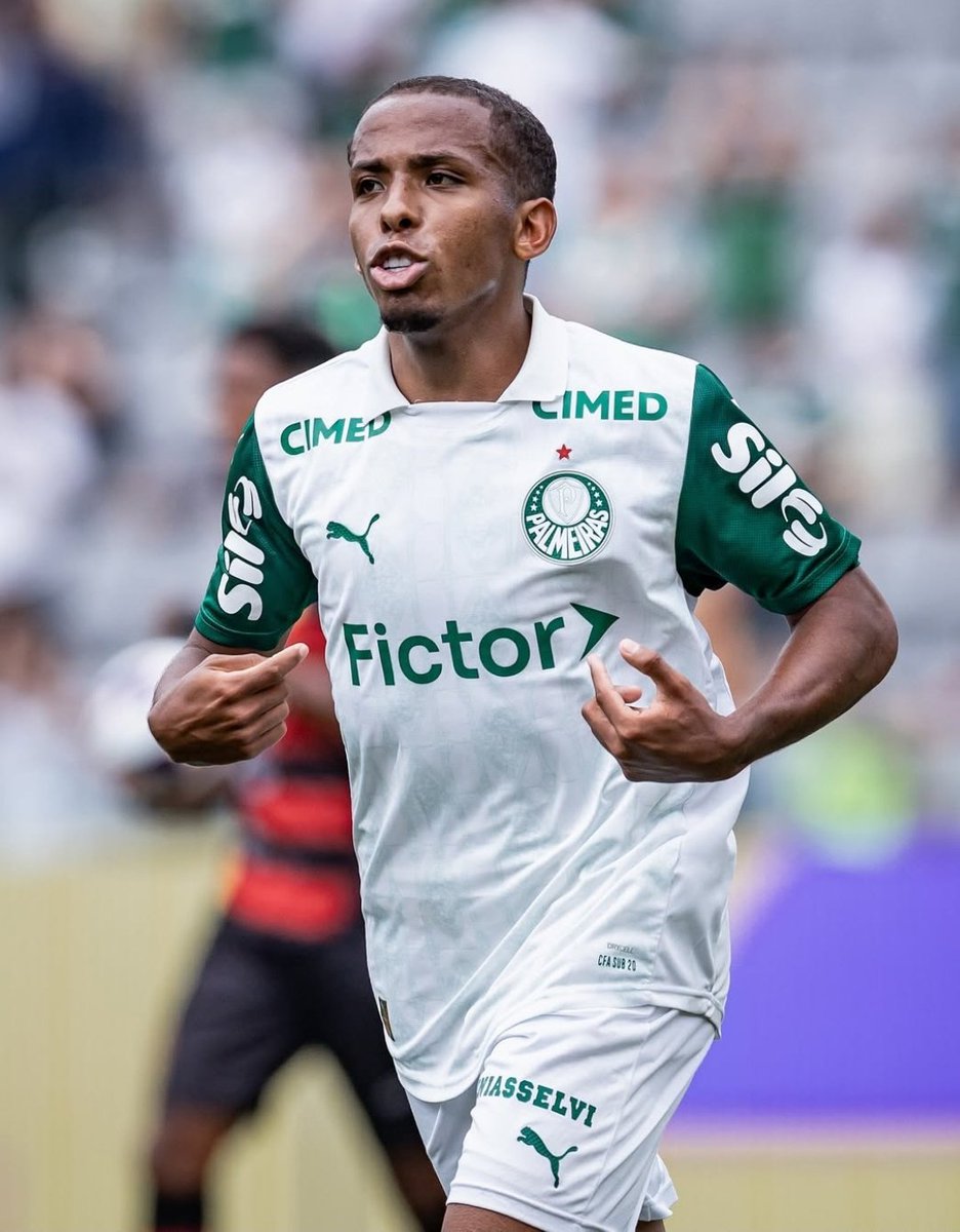 Planeta do Palmeiras 🌎 tweet media