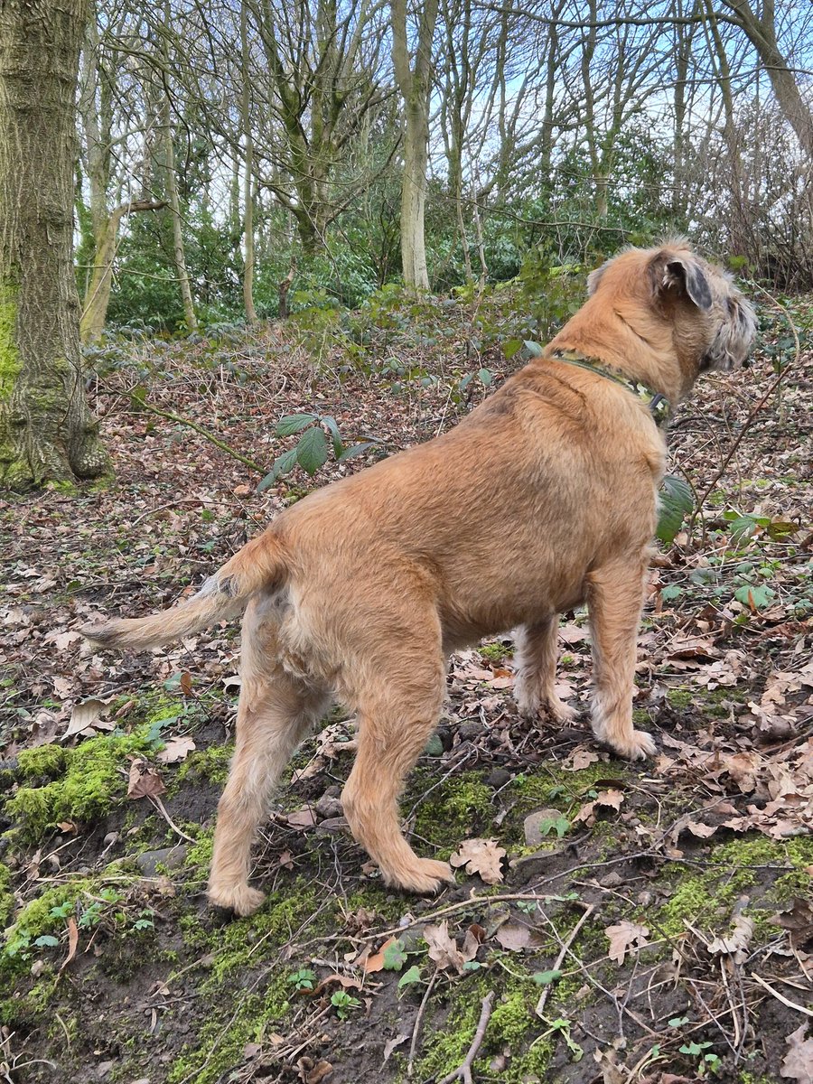 Scott Trafford tweet media