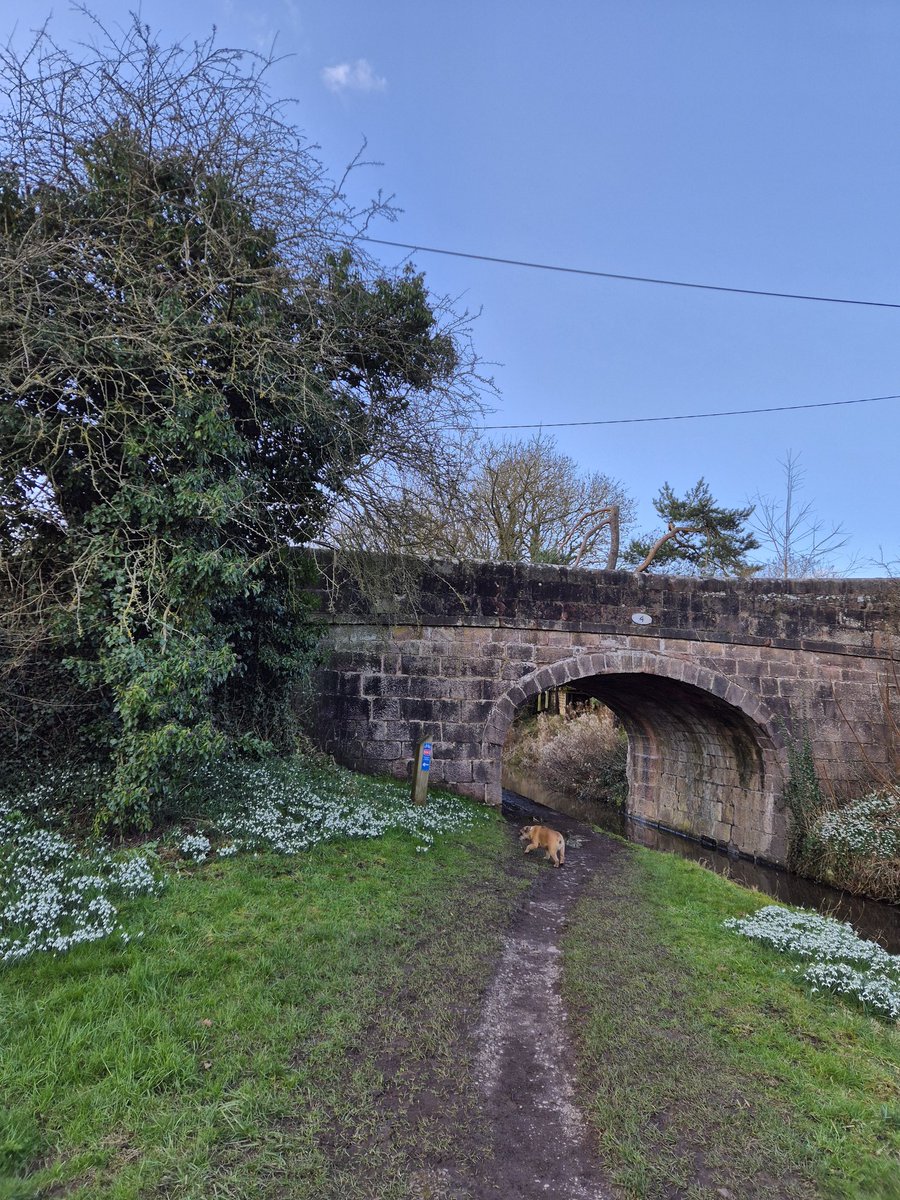 Scott Trafford tweet media