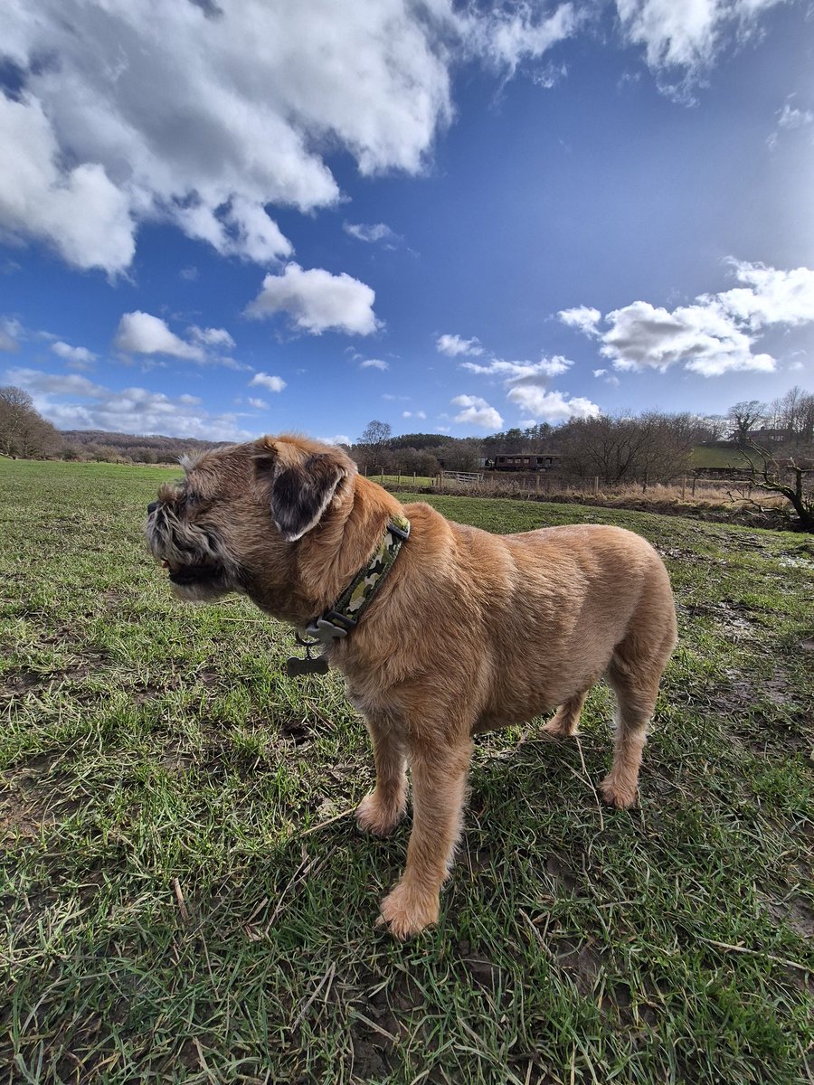 Scott Trafford tweet media