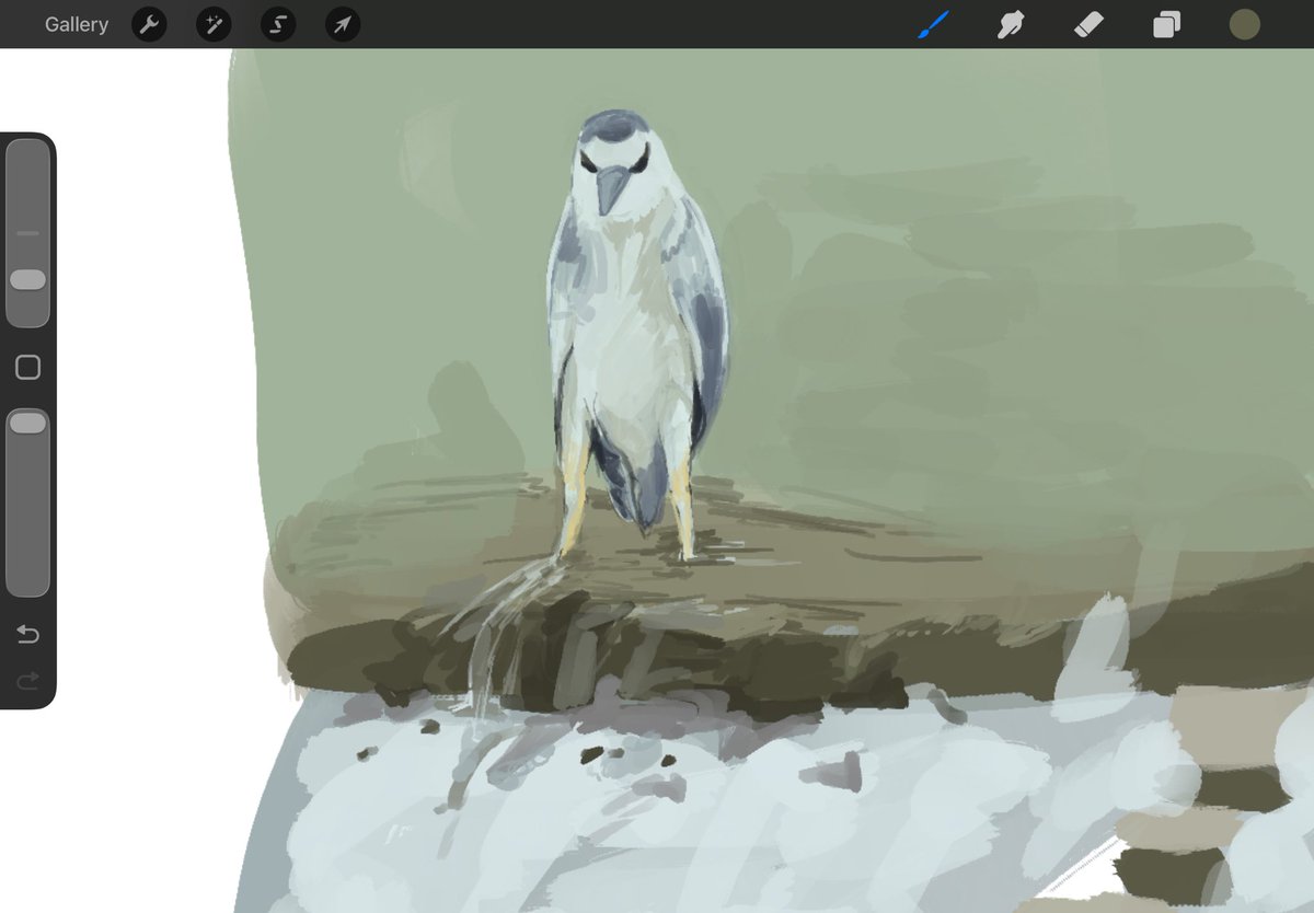artblock so bad i started drawing silly stupid birds