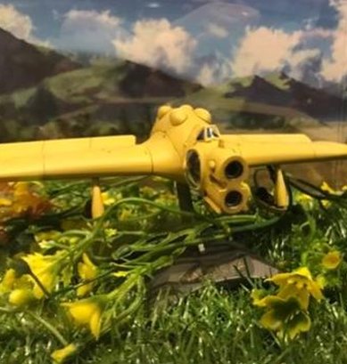 RubyKrall's tweet image. 台風でドキドキ 👤