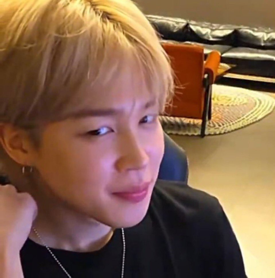 Agora que as armys bolsonaras saem do fandom