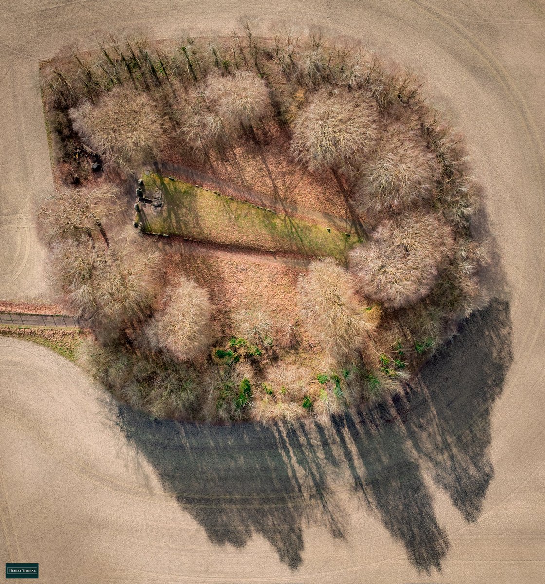 𝙃𝙚𝙙𝙡𝙚𝙮 𝙏𝙝𝙤𝙧𝙣𝙚 tweet media