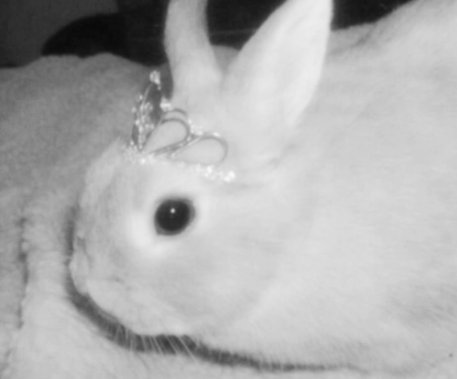 Roxy ✰ (@roxamelle) on Twitter photo 