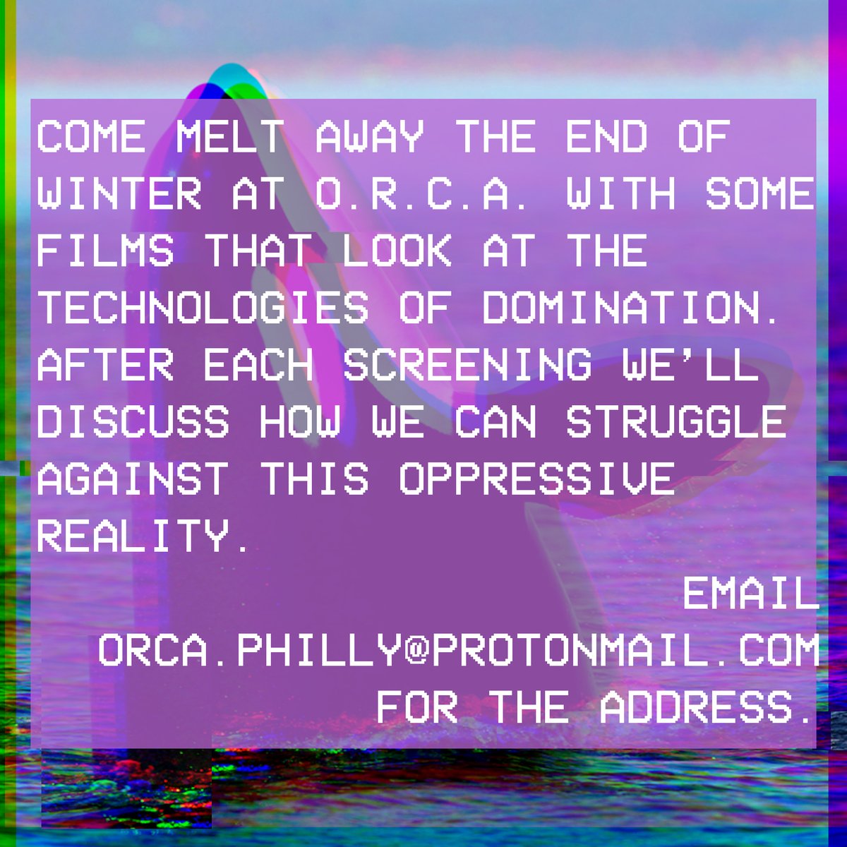 O.R.C.A. 🏴‍☠️🌊 tweet media