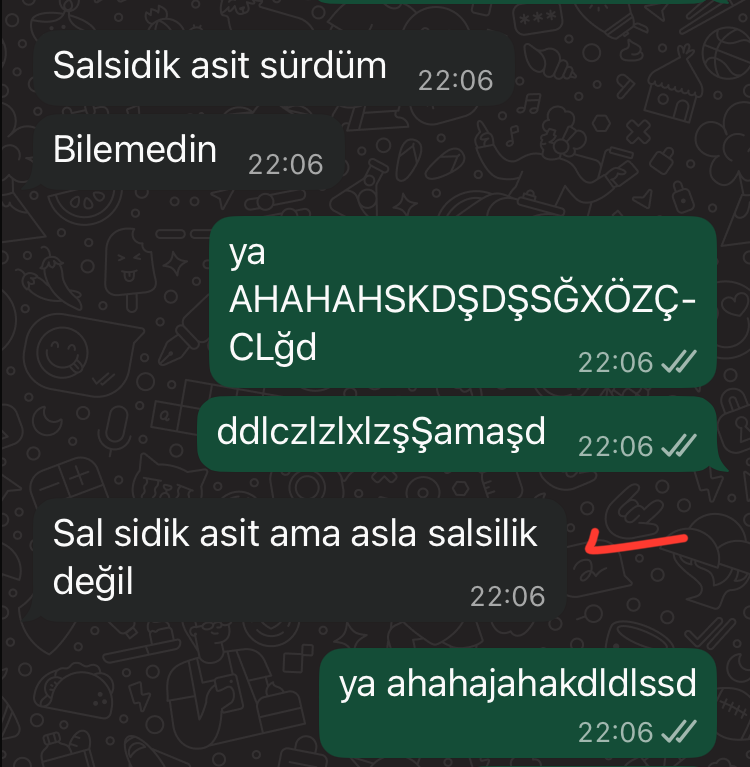 erkekler her zaman erkekleyeceklerdir yani boys will be boys