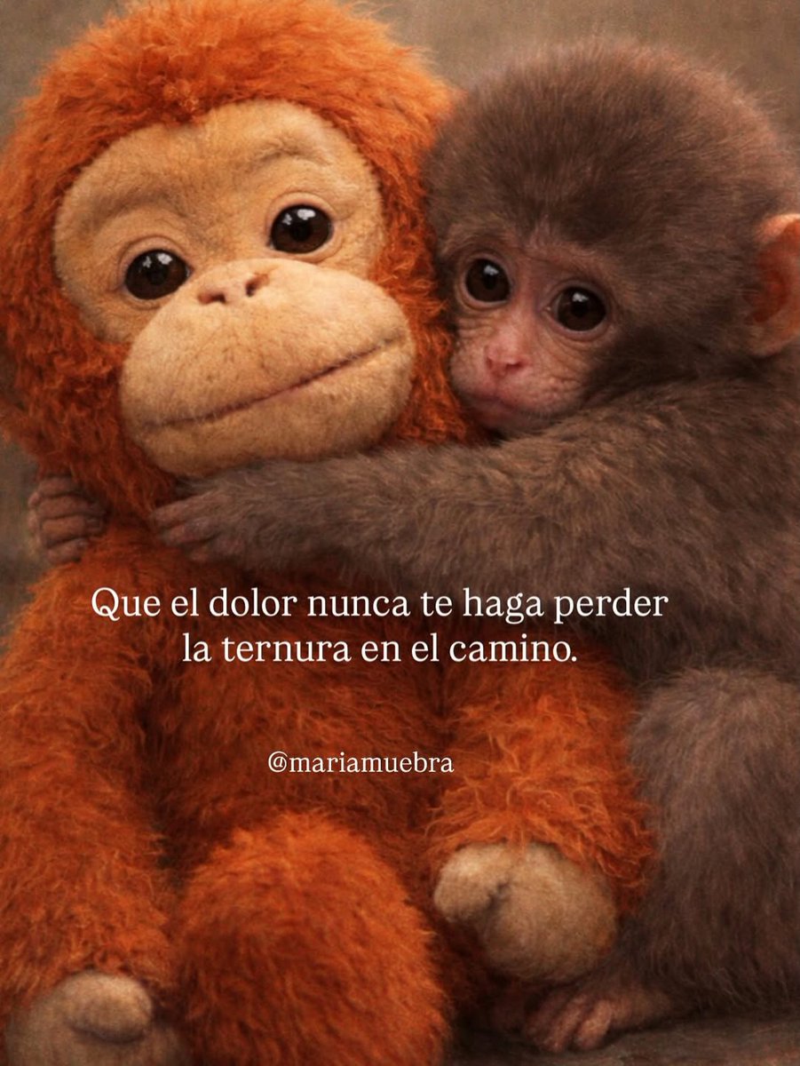 7 imágenes con un profundo significado:  

1.