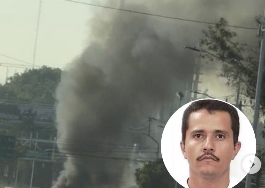 Pedro Granja tweet media