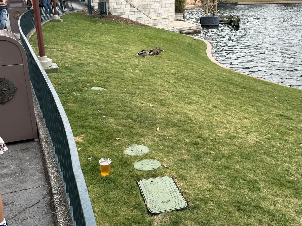 Andrew · Park Rovers tweet media