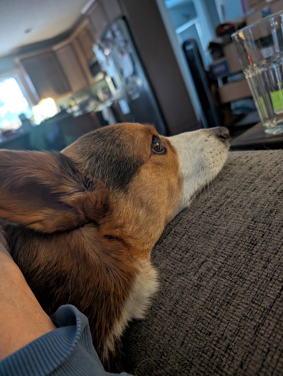 Colleen Becker tweet media