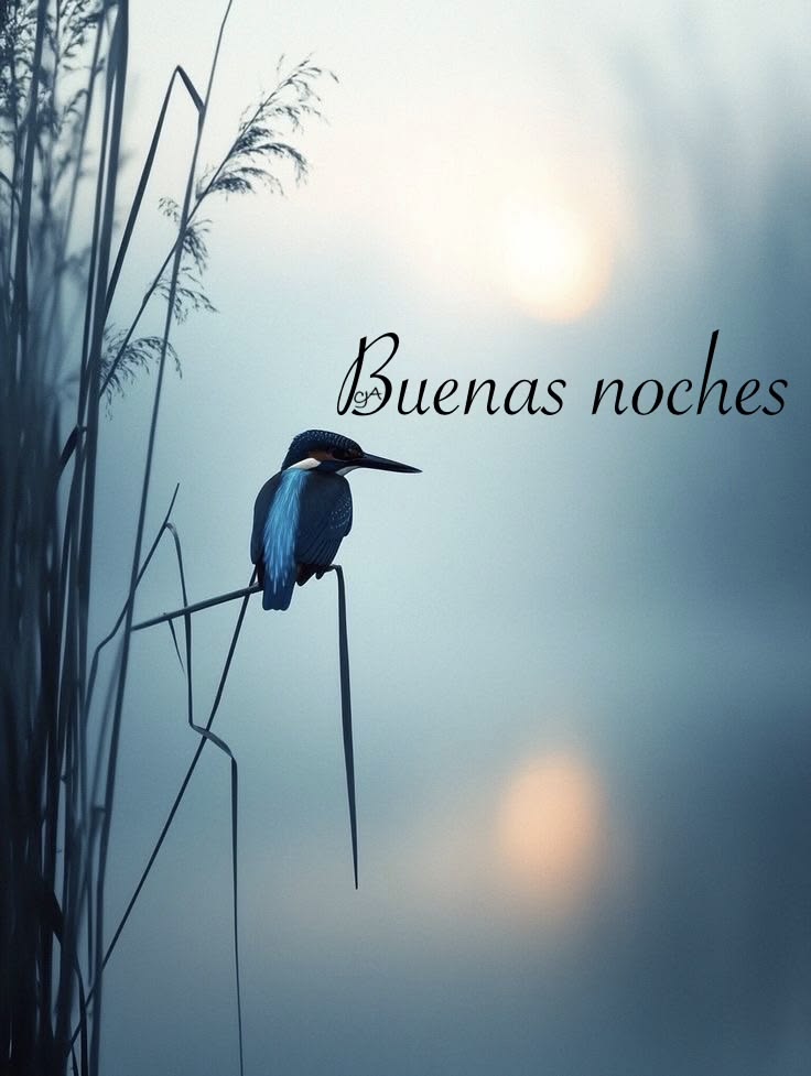 <a href="/amparosr1/">amparo s r</a> <a href="/MariaA94193/">Maria Carmen Tarrega Alemany</a> <a href="/jamaicaisla/">Mari Carmen</a> Hasta mañana chicas que descanséis y tengáis dulces sueños besos a todas 😘 😘 😘