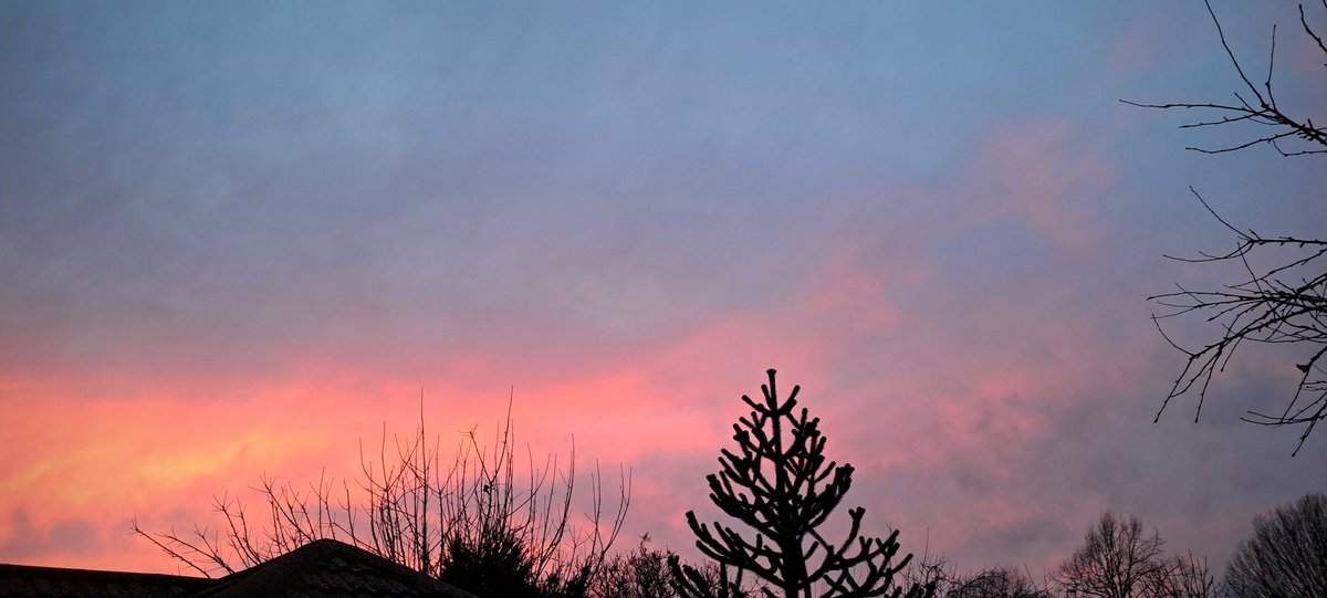 🧡 I feel like we've finally had a good sunset and it feels GREAT 🧡

#Sunset
#February2026
