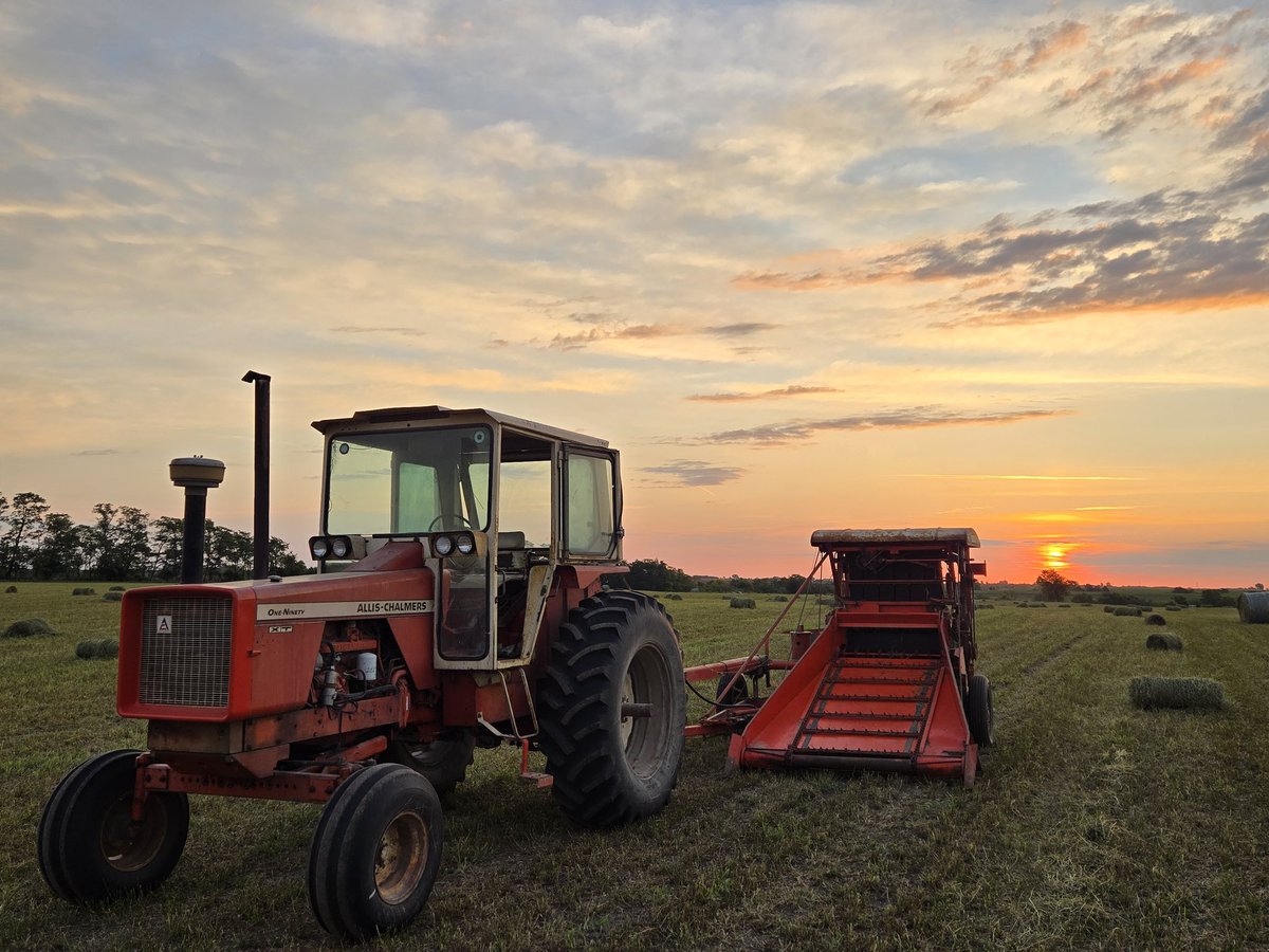 Jansen Stuart tweet media