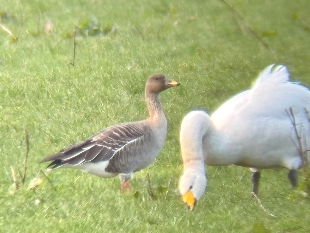 Jack Tynan tweet media