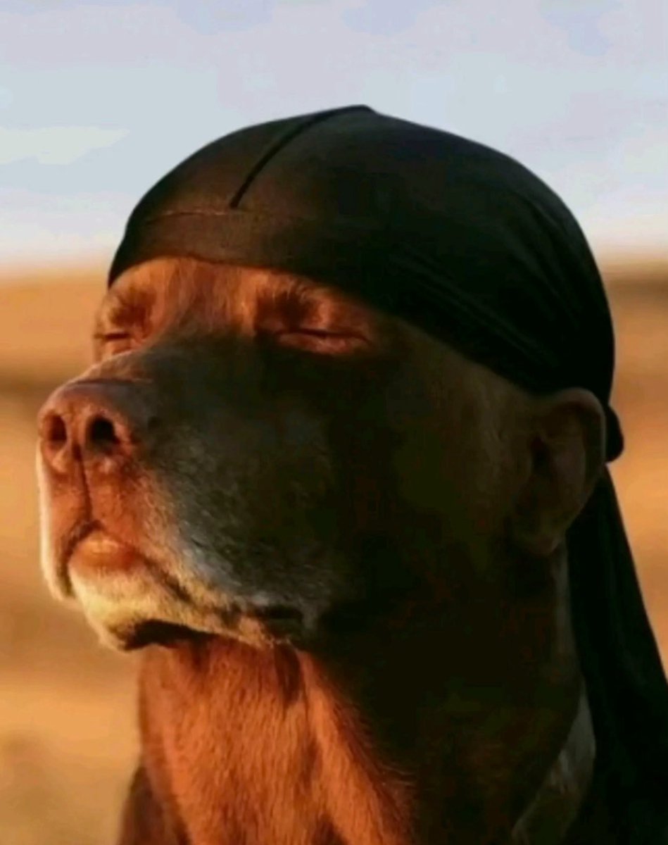 Winston Wolf tweet media