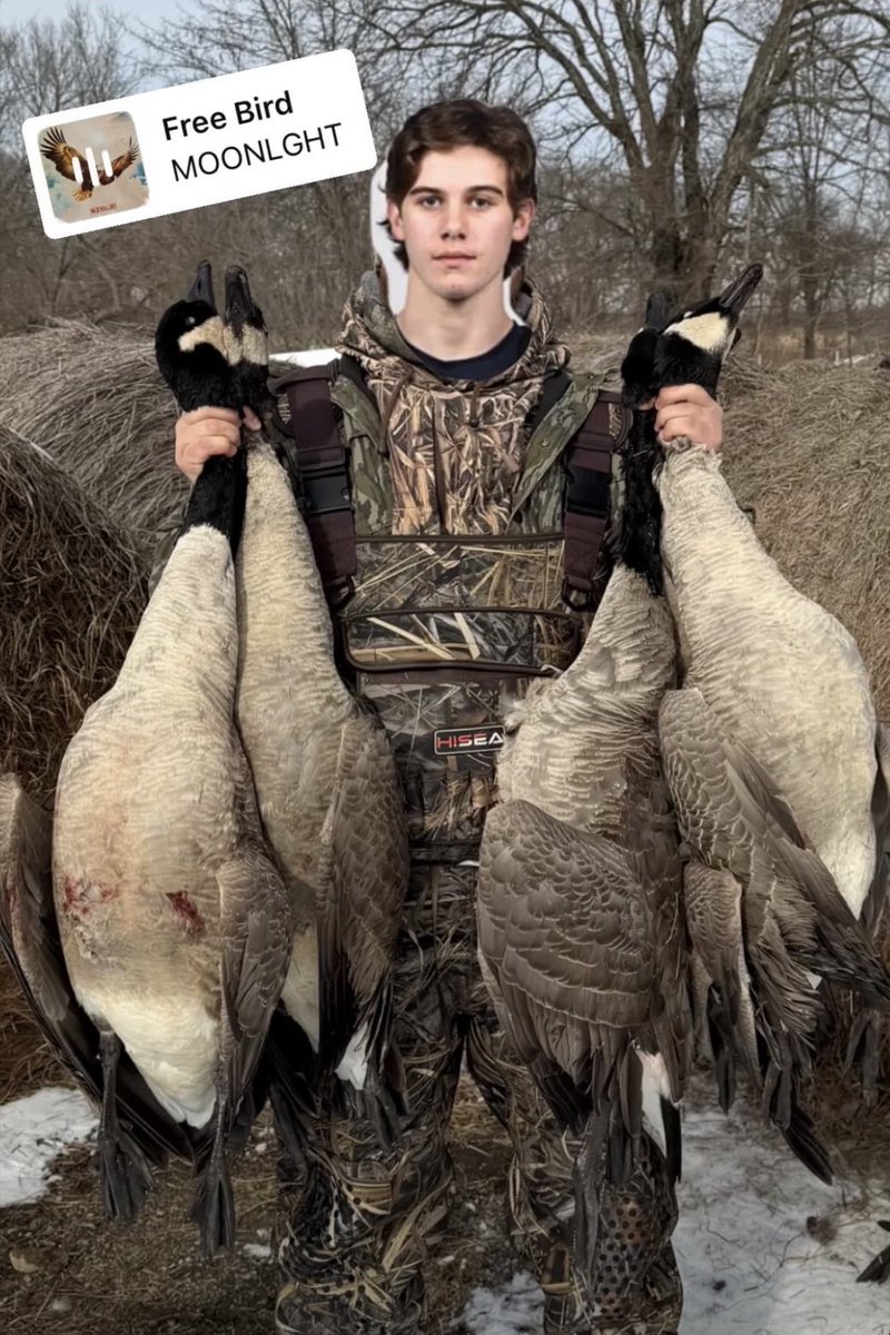 Chloes Cirrus Weather tweet media