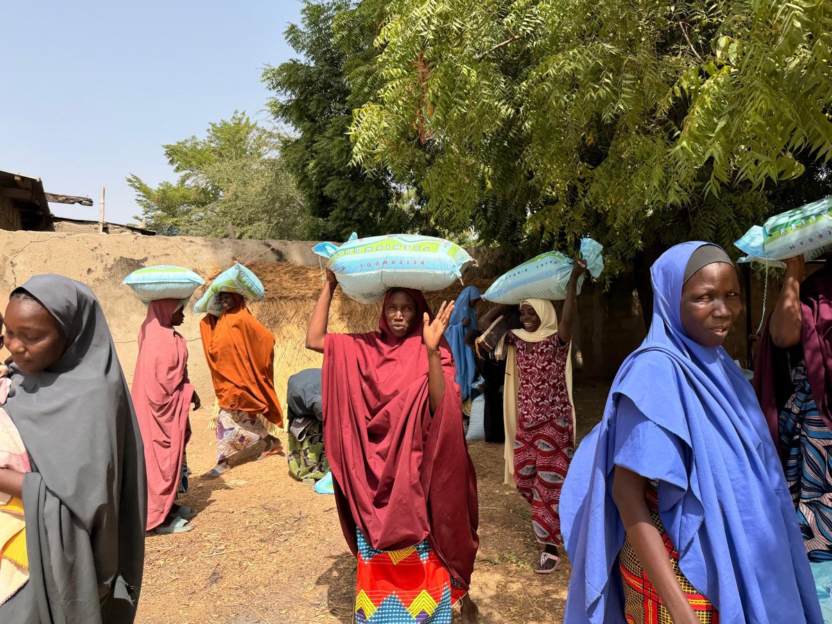 EynProjects's tweet photo. Beyond the initial distribution of point-of-lay chickens, EYN Projects has provided an additional round of poultry feed to support healthy and productive birds.
Implemented in partnership with @CAIDNigeria, household nutrition, income, and resilience. https://t.co/n1U3CkgcTt