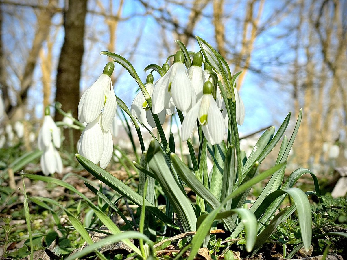 Gael Piguillem tweet media