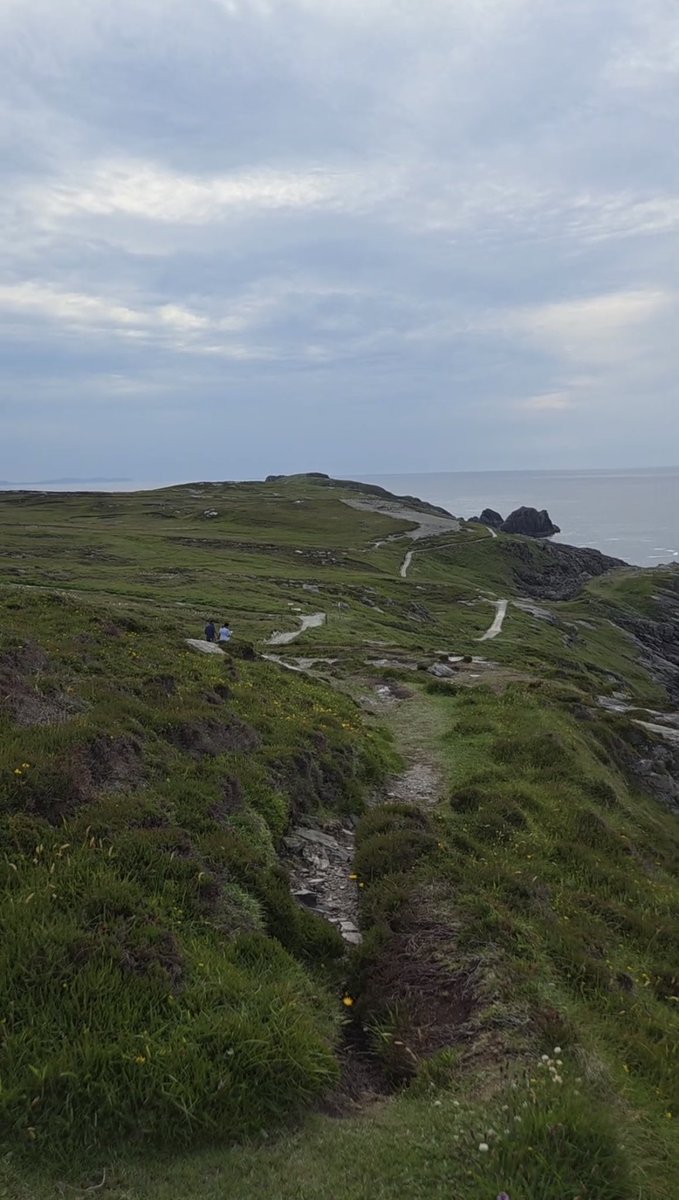 Crypto Slicer 🦞 tweet media