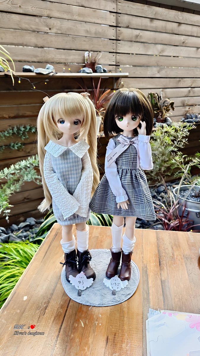 シュカ@em koshka (エムコシュカ)⭐️3/21アイドール東京