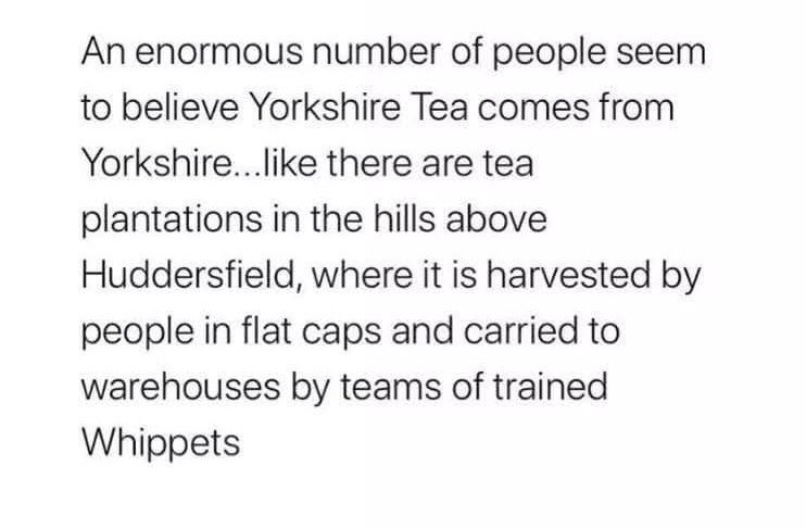 ☠️ Matt 👾 (@mattisamazing33) on Twitter photo 