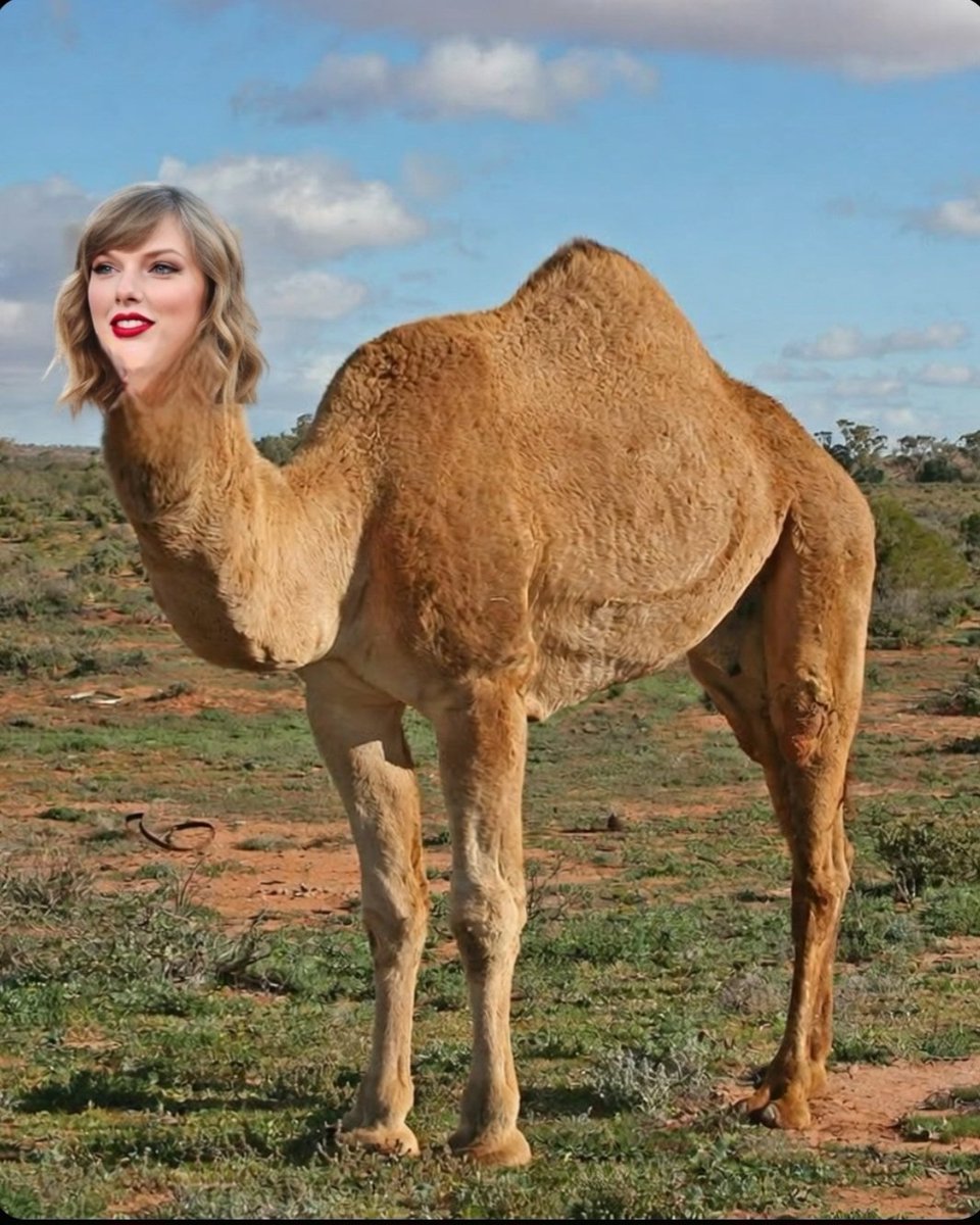 Chica 🏳️‍⚧️ tweet media