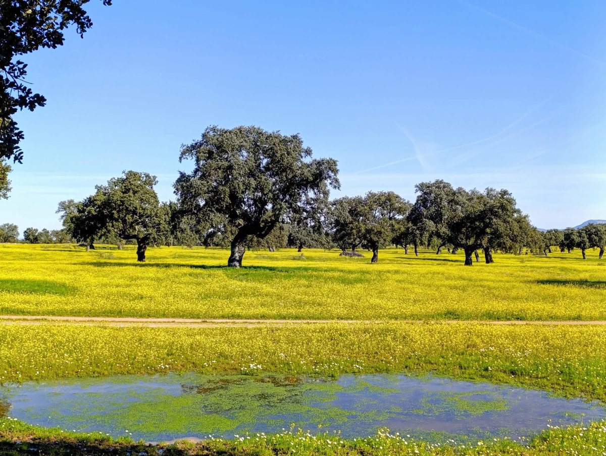 Y que bonito está el campo… 🤩