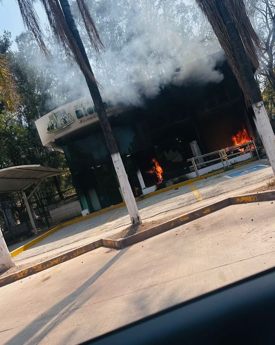 🚨 #EnElPaís | Enfrentamientos y bloqueos se extienden a varios estados tras la muerte de El Mencho en operativo del Ejército

✍️ Sigue la cobertura en: laverdadjuarez.com