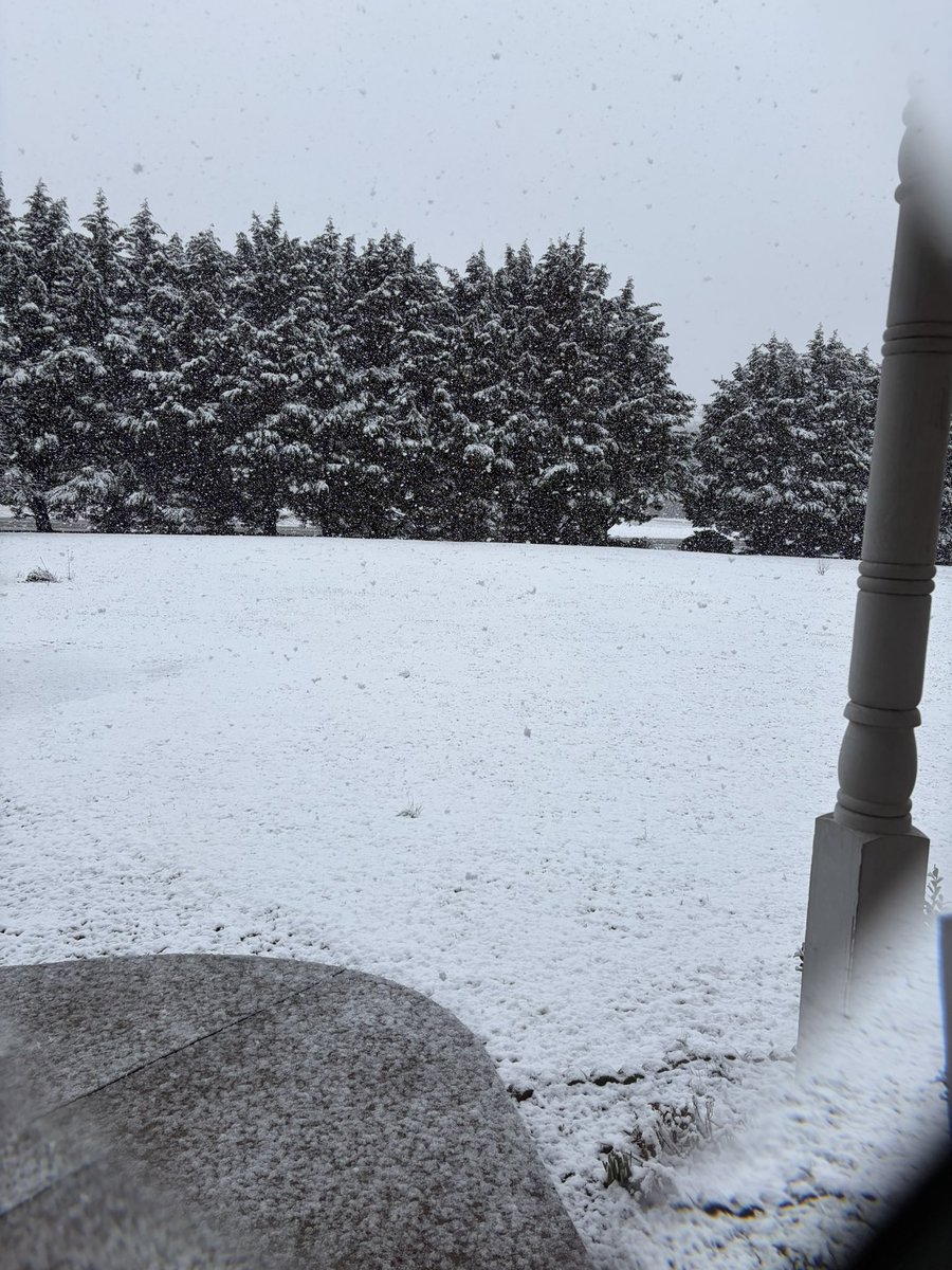 MDDEWX's tweet photo. @JustinWeather Same in Queen Anne’s county… Barclay. Changed to snow about 1 this afternoon. Already about an inch on the ground. Roads starting to stick too. HUGE flakes falling moderately to heavily. https://t.co/aBy2tGxVaJ