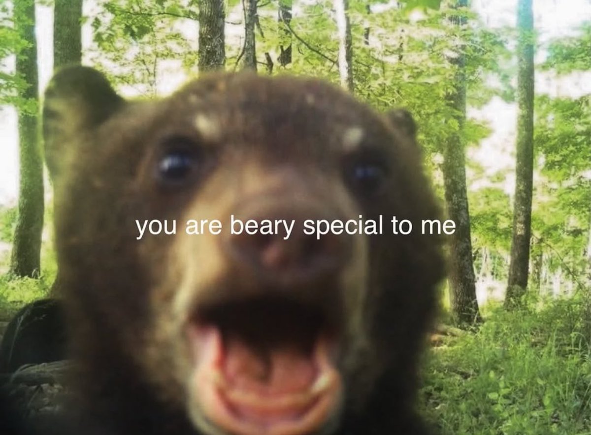 Me & Who? tweet media